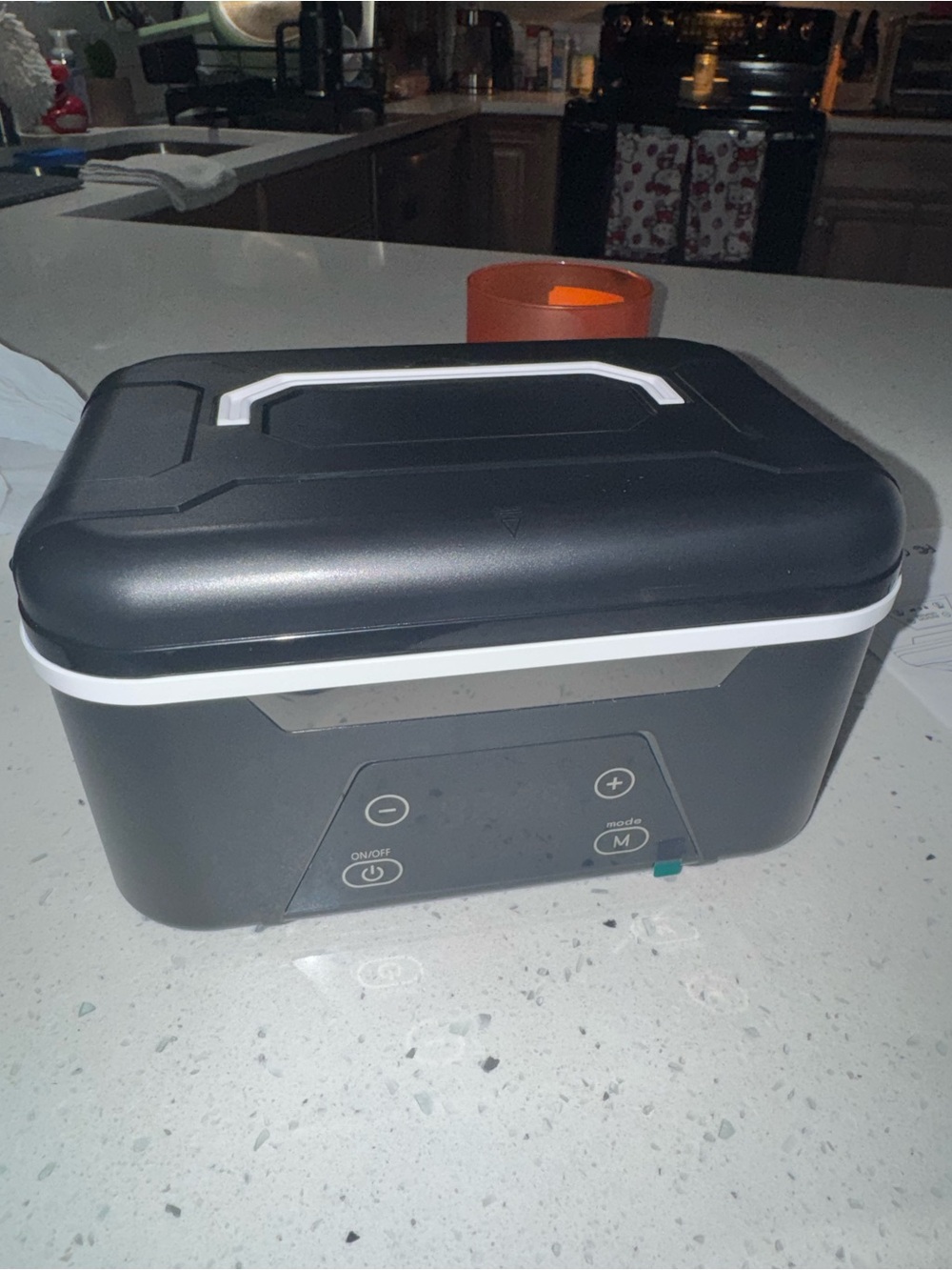 Cordless Heated Electric Lunchbox- brand new!